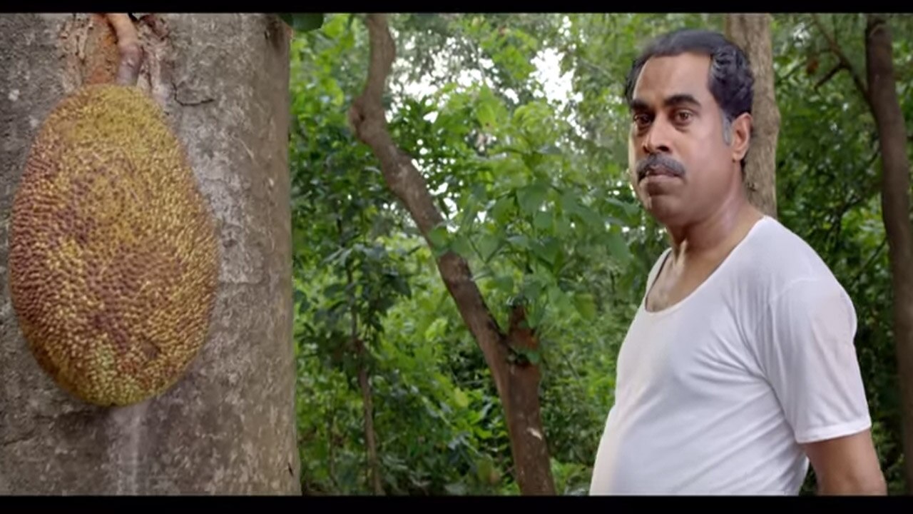 പ്ലാവില് തൊട്ടാല് ആ കഴുത്ത് വെട്ടും, ഇത് കുട്ടന്പിള്ള ഡാ! പ്ലാവില് തൊട്ടാല് ആ കഴുത്ത് വെട്ടും, ഇത് കുട്ടന്പിള്ള ഡാ!