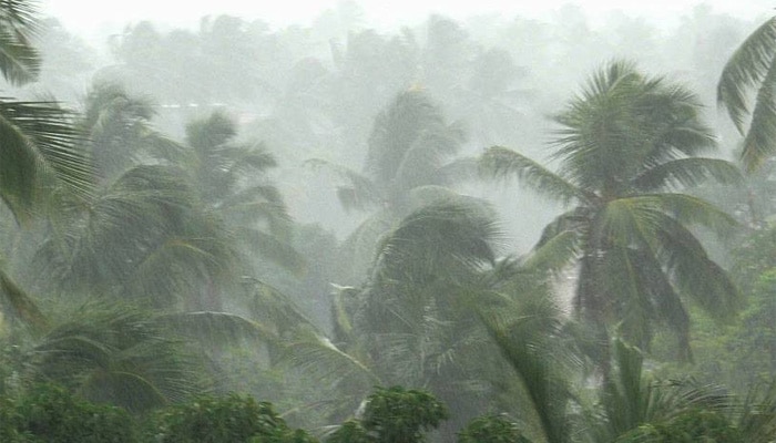 കനത്ത മഴ: കോഴിക്കോട് ജില്ലയിലെ വിദ്യാഭ്യാസ സ്ഥാപനങ്ങള്ക്ക് ഇന്ന് അവധി കനത്ത മഴ: കോഴിക്കോട് ജില്ലയിലെ വിദ്യാഭ്യാസ സ്ഥാപനങ്ങള്ക്ക് ഇന്ന് അവധി
