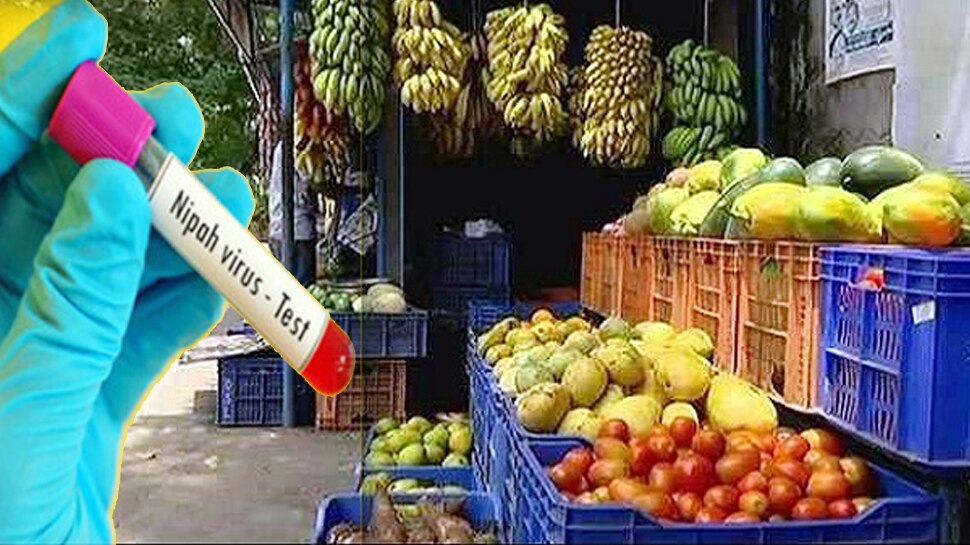 കേരളത്തില് നിന്നുള്ള പഴം-പച്ചക്കറി വിലക്ക് ഖത്തര് പിന്വലിച്ചു കേരളത്തില് നിന്നുള്ള പഴം-പച്ചക്കറി വിലക്ക് ഖത്തര് പിന്വലിച്ചു