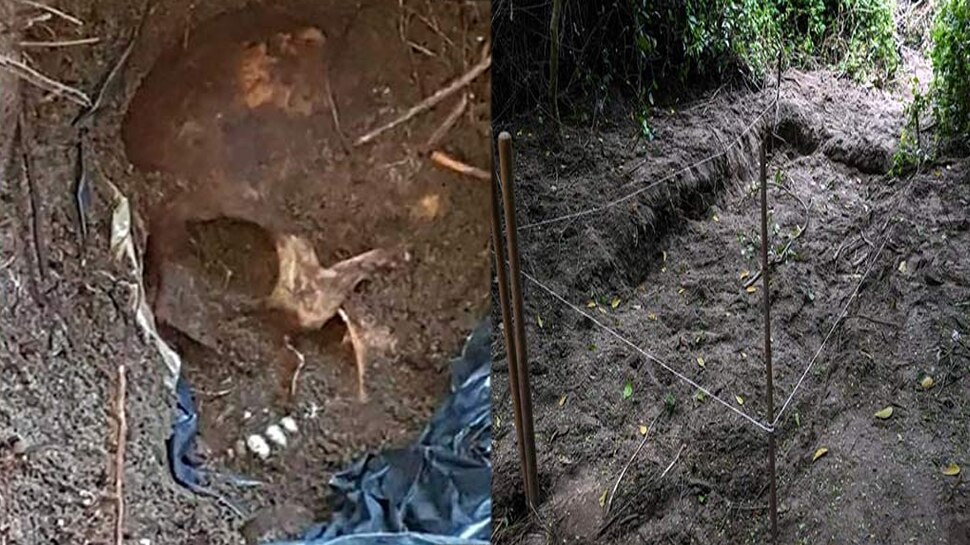 ശവക്കല്ലറ ഒന്ന്, തലയോട്ടികള് 166! ശവക്കല്ലറ ഒന്ന്, തലയോട്ടികള് 166!
