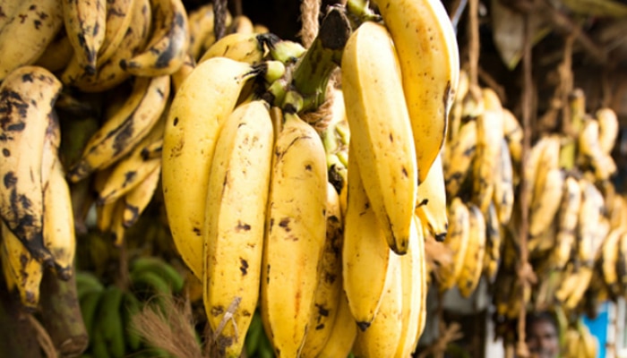 Kerala banana Health benefits | News in Malayalam: പഴത്തൊലി കളയരുതേ…