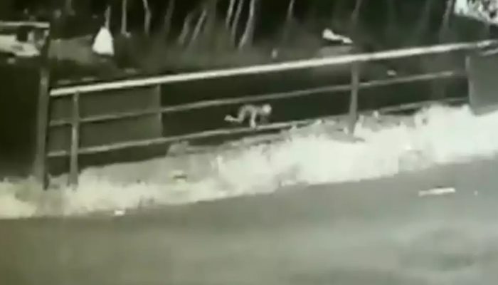 ജീപ്പില് നിന്നും കുഞ്ഞ് തെറിച്ച് വീണ സംഭവത്തില് മാതാപിതാക്കള്ക്കെതിരെ കേസ് ജീപ്പില് നിന്നും കുഞ്ഞ് തെറിച്ച് വീണ സംഭവത്തില് മാതാപിതാക്കള്ക്കെതിരെ കേസ്
