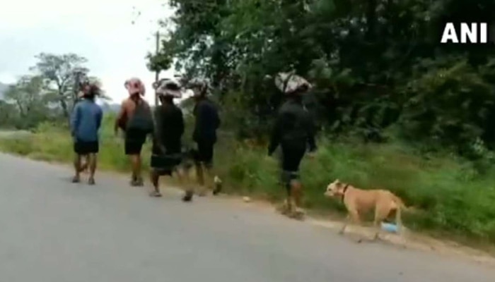 Viral Video: അയ്യപ്പ ദര്ശനത്തിനായി ഭക്തര്ക്കൊപ്പം തെരുവ് നായയും! Viral Video: അയ്യപ്പ ദര്ശനത്തിനായി ഭക്തര്ക്കൊപ്പം തെരുവ് നായയും!