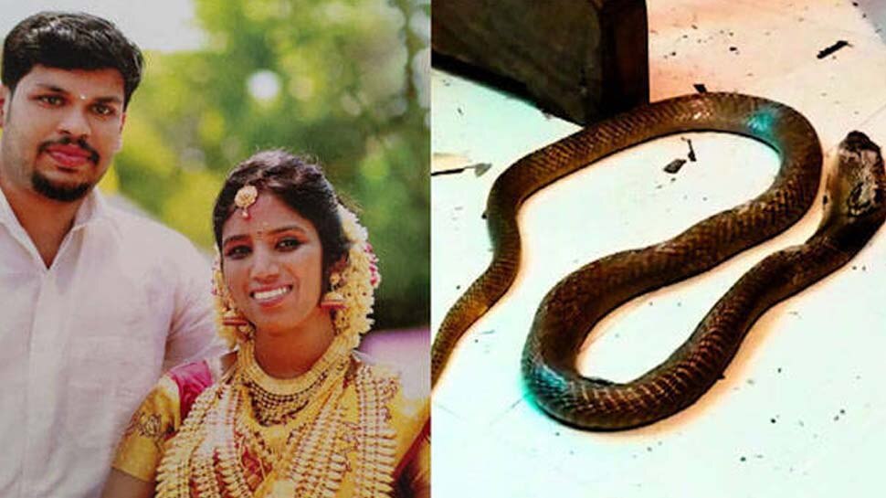 ഉത്രയുടെ ആന്തരികാവയവത്തിൽ പാമ്പിൻ വിഷത്തോടൊപ്പം ഉറക്കഗുളികയുടെയും സാന്നിധ്യം.. ഉത്രയുടെ ആന്തരികാവയവത്തിൽ പാമ്പിൻ വിഷത്തോടൊപ്പം ഉറക്കഗുളികയുടെയും സാന്നിധ്യം..