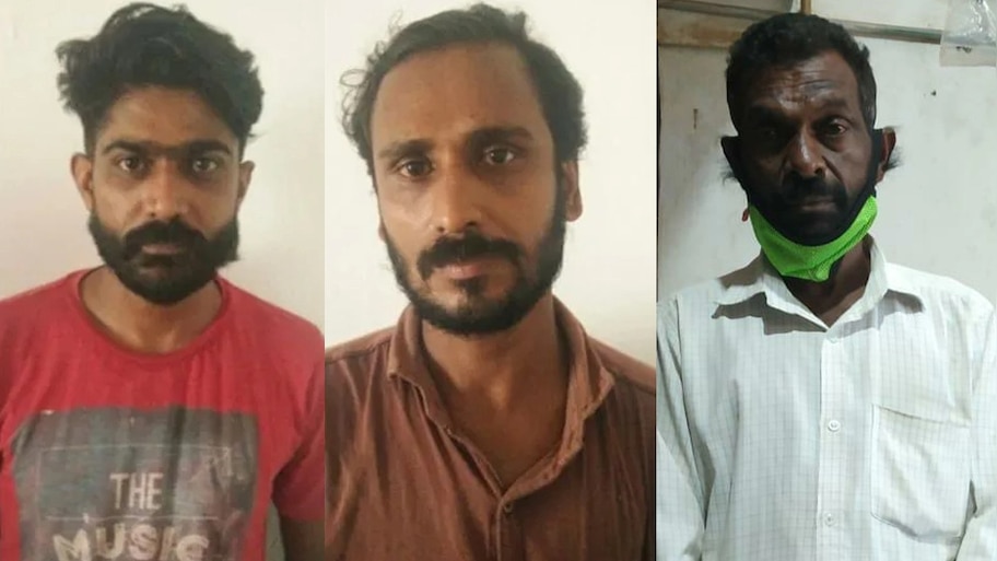 കോഴിക്കോടും കണ്ണൂരും വൻ കഞ്ചാവ് വേട്ട 