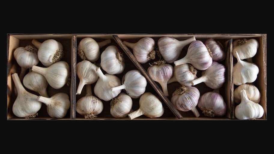 Garlic Benefits: വെളുത്തുള്ളി കഴിക്കുന്നവർ ഇൗ കാര്യങ്ങളെല്ലാം അറിഞ്ഞിരിക്കണം.