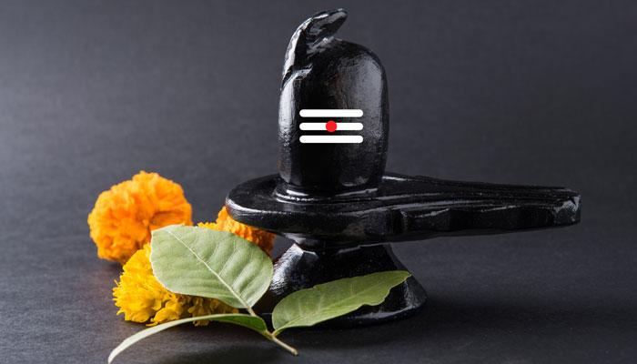 Mahashivaratri 2021: ഈ ദിനത്തിൽ കൂവളത്തില അർച്ചന പ്രധാനം Mahashivaratri 2021: ഈ ദിനത്തിൽ കൂവളത്തില അർച്ചന പ്രധാനം