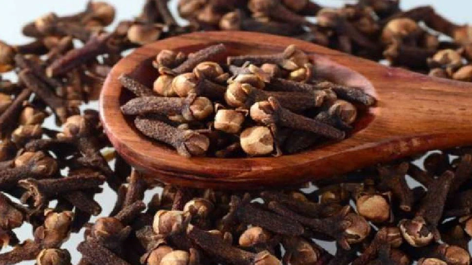 Clove Benefits പുരുഷന്മാർ ദിനവും 3 ഗ്രാമ്പൂ കഴിക്കുന്നത് വളരെയധികം