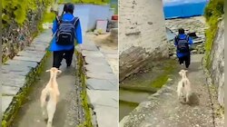 viral video: ഞാനുമുണ്ട് സ്കൂളിലേക്ക്; സ്കൂളിലേക്ക് പോകുന്ന രണ്ടു കൂട്ടുകാർ!