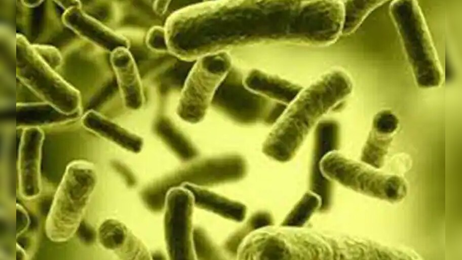 Cholera | കോഴിക്കോട് നരിക്കുനി ഭാ​ഗത്തെ കിണറുകളിൽ കോളറയുടെ സാന്നിധ്യം; അടിയന്തര യോ​ഗം വിളിച്ച് ആരോ​ഗ്യവകുപ്പ്
