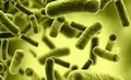 Cholera | കോഴിക്കോട് നരിക്കുനി ഭാ​ഗത്തെ കിണറുകളിൽ കോളറയുടെ സാന്നിധ്യം; അടിയന്തര യോ​ഗം വിളിച്ച് ആരോ​ഗ്യവകുപ്പ്