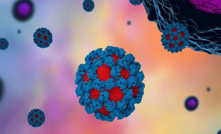 Norovirus | തൃശൂരിൽ 52 വിദ്യാർഥികൾക്ക് നോറോ വൈറസ് സ്ഥിരീകരിച്ചു