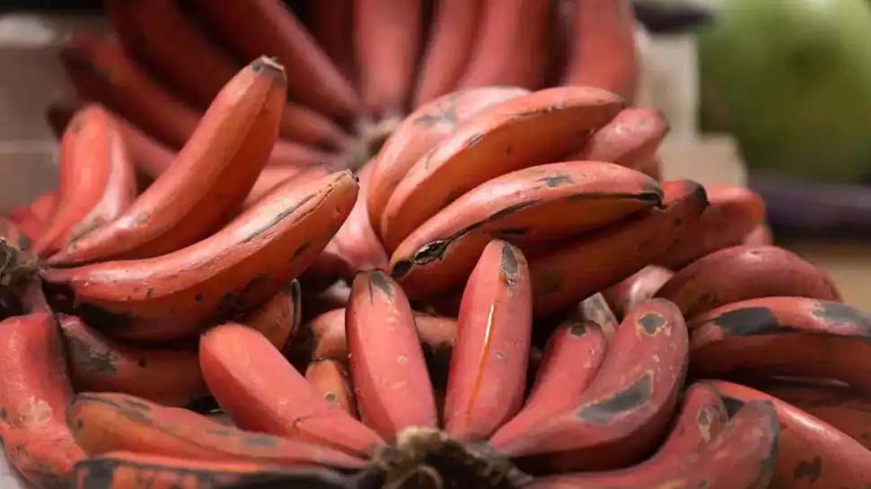 Red Banana Benefits, How Re banana differ from Yellow bananas Red Banana Benefits