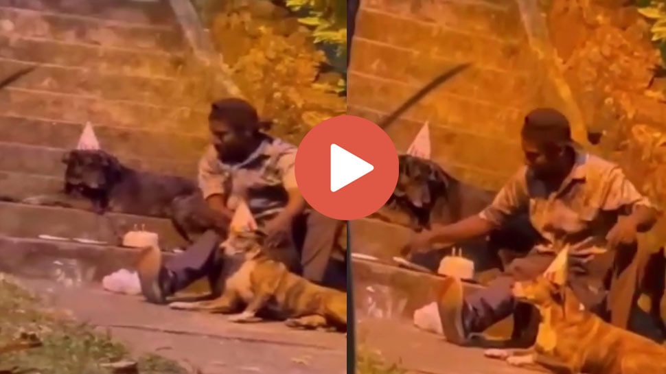 Viral Video watch adorable video of a homeless man celebrates birthday ...