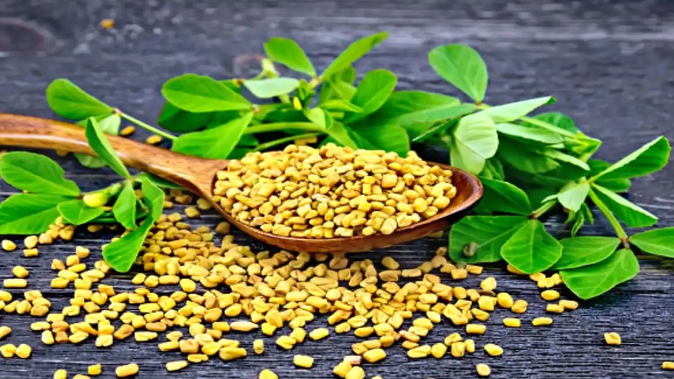 Fenugreek; Do you know about the benefits of fenugreek Fenugreek