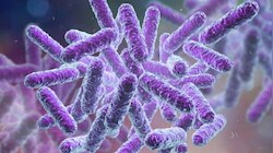 Shigella | മലപ്പുറത്ത് ഏഴ് വയസുകാരൻ മരിച്ചത് ഷി​ഗെല്ല ബാധിച്ചെന്ന് സംശയം; പ്രതിരോധ നടപടികൾ ശക്തമാക്കി ആരോ​ഗ്യവകുപ്പ്