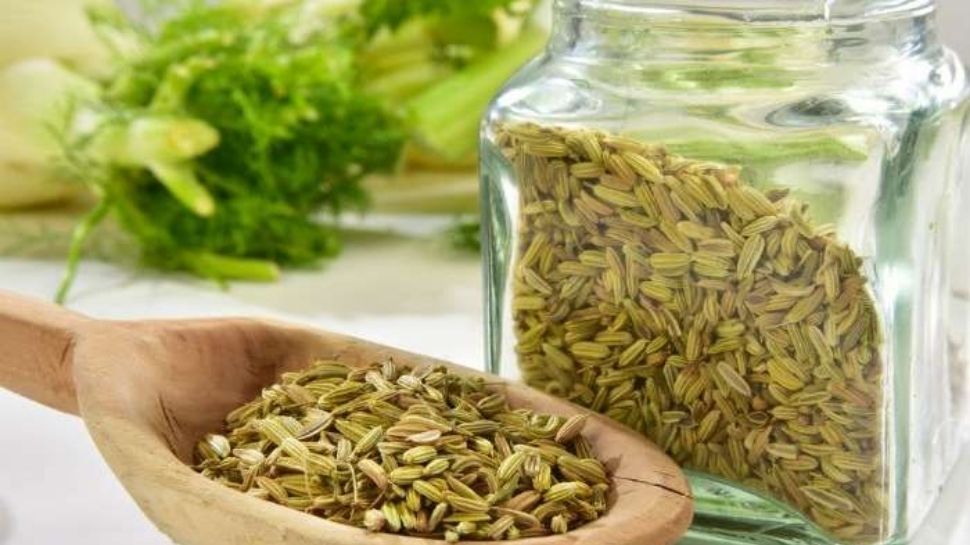 fennel water benefits of drinking fennel water health tips Fennel