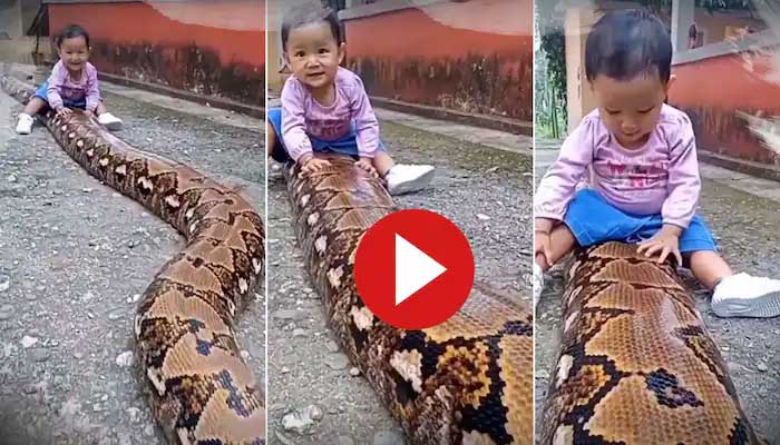 Viral video snake and child video google trending video cute child ...