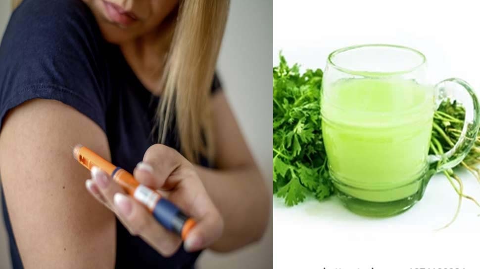 Diabetes regulation coriander leaves and seeds for regulating diabetes