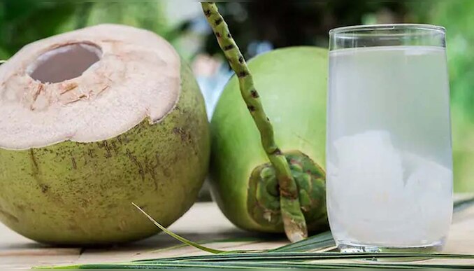  Tender Coconut Water Health Benefits : വേനൽക്കാലത്ത് കരിക്കിൻ വെള്ളം കുടിക്കുന്നത് ഏറെ ഗുണകരം 
