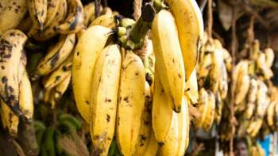 Banana benefits health benefits of banana banana helps for lower blood pressure Banana