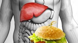 Liver Health: കരളിന്റെ ആരോ​ഗ്യത്തിന് ഈ ഭക്ഷണങ്ങൾ വെല്ലുവിളി; ഒഴിവാക്കേണ്ട ഭക്ഷണങ്ങൾ ഇവയാണ്