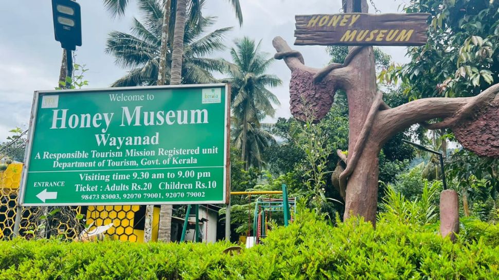 മധുരം നുകരാൻ ചുരം കയറാം; വയനാടിന്റെ സൗന്ദര്യത്തിൽ ബീ ക്രാഫ്റ്റ് ഹണി മ്യൂസിയം മധുരം നുകരാൻ ചുരം കയറാം; വയനാടിന്റെ സൗന്ദര്യത്തിൽ ബീ ക്രാഫ്റ്റ് ഹണി മ്യൂസിയം