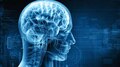 World Brain Day 2022: ജീവിതശൈലിയിൽ മാറ്റങ്ങൾ വരുത്തൂ, തലച്ചോറിന്റെ ആരോഗ്യം സംരക്ഷിക്കാം