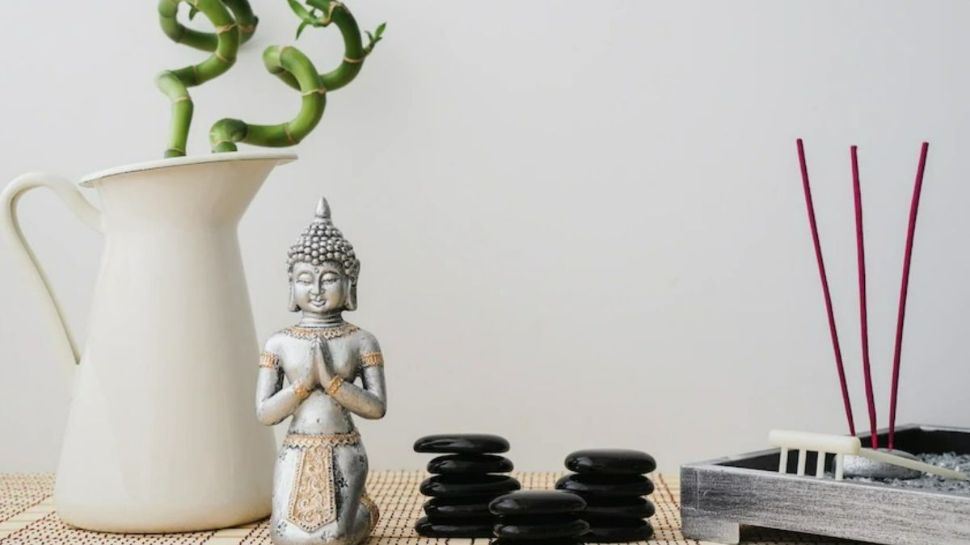 Vastu Tips Dos And Donts of Keeping Lord Buddha Statue at Home or