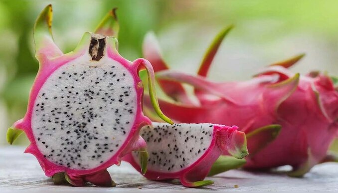 Dragon Fruit Benefits: ആരോഗ്യത്തിന് മാത്രമല്ല സൗന്ദര്യത്തിനും ഉത്തമം ഡ്രാഗൺ ഫ്രൂട്ട് 
