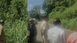 മൂന്നാർ ചെങ്കുളത്ത് ജനവാസ മേഖലയിൽ പുലി ഇറങ്ങി; നിരീക്ഷണം ആരംഭിച്ച് വനംവകുപ്പ്
