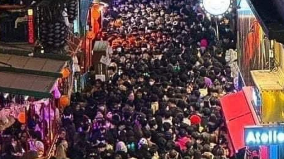 Stampede Seoul Archives Newsy Today