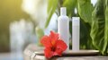  Hibiscus benefits: ചെമ്പരത്തി പൂവിൻറെ ഔഷധഗുണങ്ങളും പാർശ്വഫലങ്ങളും 
