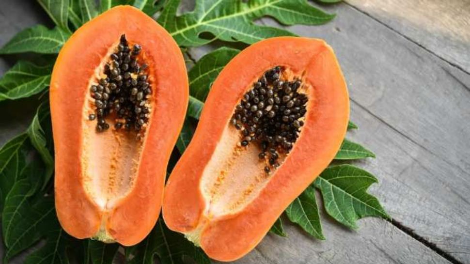Beauty Benefits Of Papaya: തിളക്കമുള്ള ചർമ്മത്തിന് പപ്പായ ഇങ്ങനെ ഉപയോഗിക്കൂ Beauty Benefits Of Papaya: തിളക്കമുള്ള ചർമ്മത്തിന് പപ്പായ ഇങ്ങനെ ഉപയോഗിക്കൂ