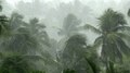 Kerala Weather Report: സംസ്ഥാനത്ത് ഇന്ന് ഒറ്റപ്പെട്ട കനത്ത മഴയ്ക്ക് സാധ്യത; 12 ജില്ലകളിൽ യെല്ലോ അലർട്ട്!