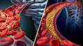 Brain Stroke Vs Heart Attack: മസ്തിഷ്കാഘാതവും ഹൃദയാ​ഘാതവും തിരിച്ചറിയാം... ഈ ലക്ഷണങ്ങളിലൂടെ