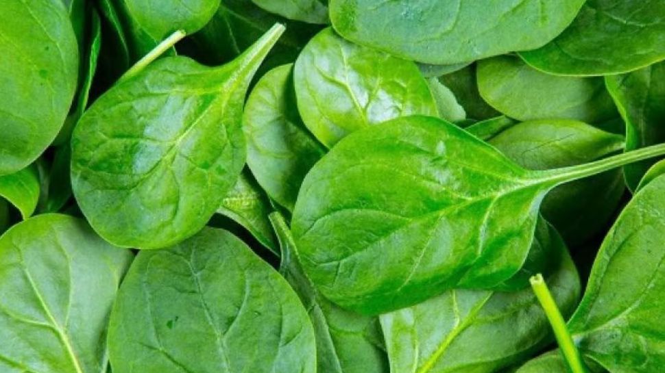 Spinach benefits discover surprising health benefits of Spinach