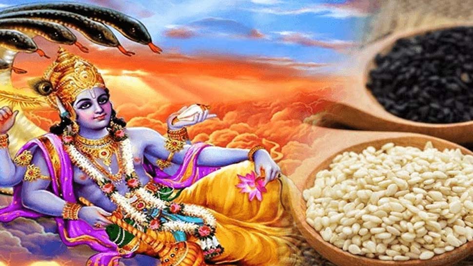 Importance Of Sesame Seeds On This Auspicious Shattila Ekadashi Day Shattila Ekadashi 2023