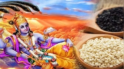 Shattila Ekadashi 2023: ഷഡ് തില ഏകാദശിയില്‍ എള്ള് ദാനം ചെയ്യുന്നത് പുണ്യം നല്‍കും, പ്രാധാന്യം അറിയാം  