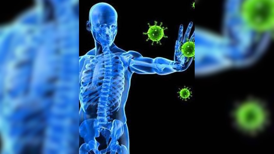 Immunity boosting foods: പ്രതിരോധശേഷി വർധിപ്പിക്കാൻ ഇവ ഭക്ഷണത്തിൽ ഉൾപ്പെടുത്താം