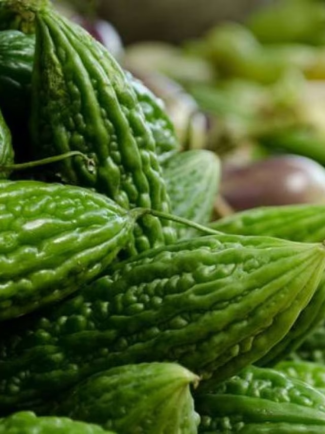 Five health benefits of bitter gourd പാവയ്ക്കയുടെ ഗുണങ്ങൾ News in