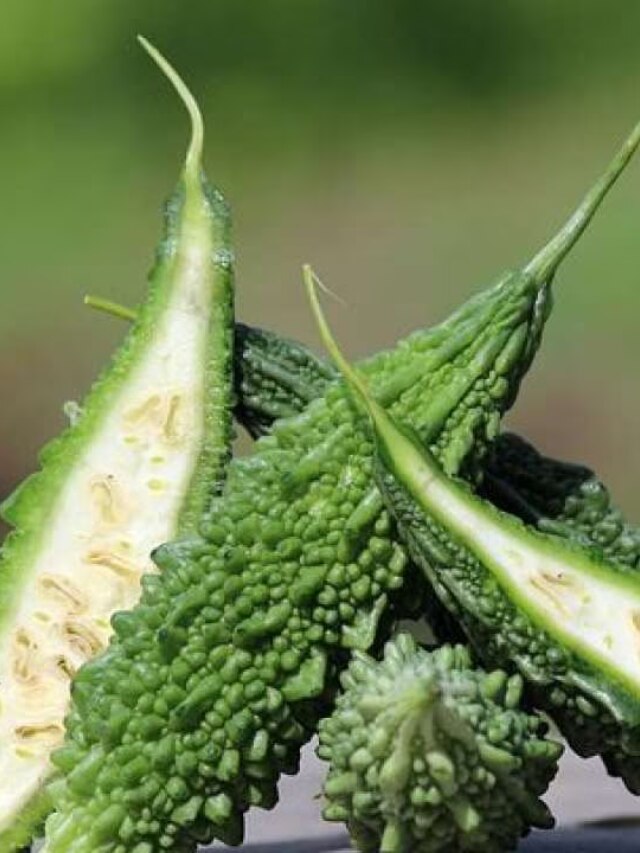 Five health benefits of bitter gourd പാവയ്ക്കയുടെ ഗുണങ്ങൾ News in