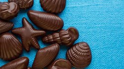 Dark Chocolate Health Benefits: ഹൃദയാരോഗ്യം മുതൽ സ്ട്രെസ് റിലീഫ് വരെ; ഡാർക്ക് ചോക്ലേറ്റിന്റെ ആരോഗ്യ ഗുണങ്ങൾ അറിയാം