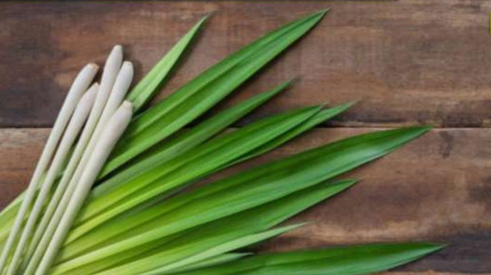 Discover five amazing health benefits of lemon grass From reducing