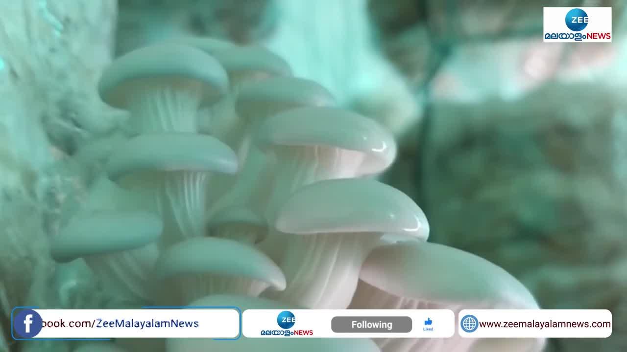 news in malayalam