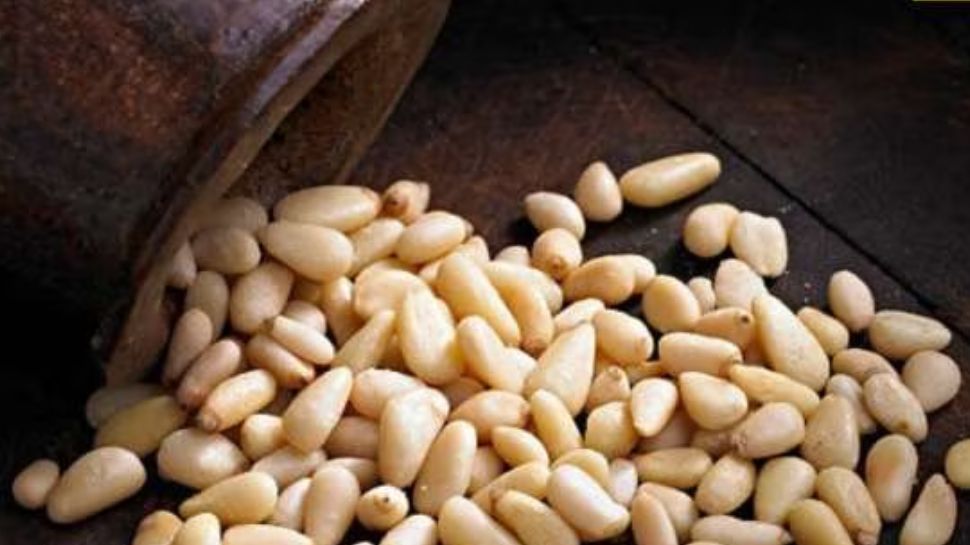 Discover top five health benefits of pine nuts for a healthier you
