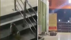 Viral Video: രാത്രിയിൽ ആരുമില്ലാത്തപ്പോൾ ക്ഷേത്രത്തിലെത്തും, തൊഴുത് പ്രാർത്ഥിക്കും; കുരങ്ങന്റെ വീഡിയോ വൈറൽ