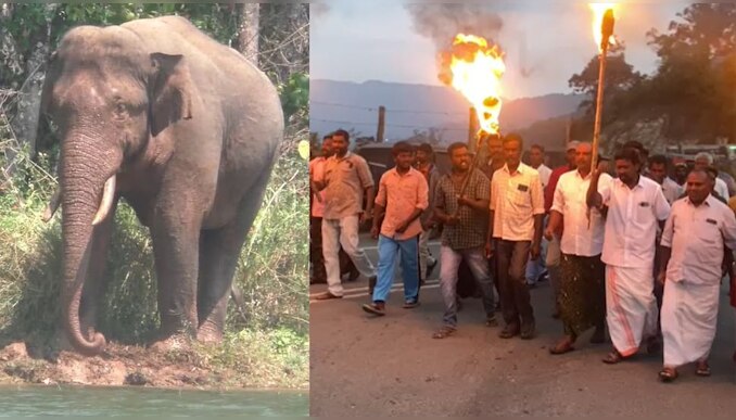 Mission Arikomban : ഹൈക്കോടതിയുടെ നിലപാടിനെതിരെ പ്രതിഷേധം; ഇടുക്കിയിലെ 13 പഞ്ചായത്തുകളിൽ നാളെ ഹർത്താൽ