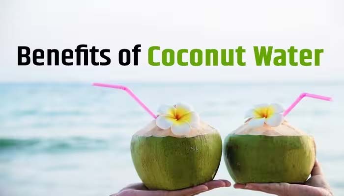 Coconut Water Benefits: കരിക്കിന് വെള്ളം മികച്ച വേനല്ക്കാല പാനീയം!! കാരണമിതാണ് Coconut Water Benefits: കരിക്കിന് വെള്ളം മികച്ച വേനല്ക്കാല പാനീയം!! കാരണമിതാണ്