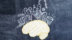Nutrition For Brain Health: മസ്തിഷ്കാരോ​ഗ്യത്തിന് പോഷകാഹാരം പ്രധാനം; തലച്ചോറിന്റെ വളർച്ചയ്ക്കും വികാസത്തിനും ഈ ഭക്ഷണങ്ങൾ കഴിക്കണം